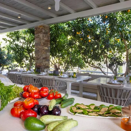 Villa White Dovecote With Private Pool, Tinos Agapi