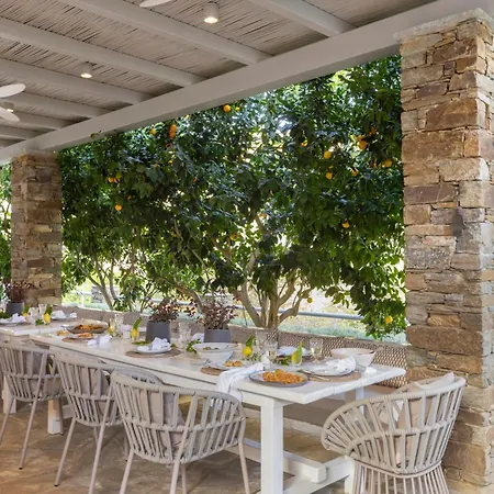 White Dovecote With Private Pool, Tinos Villa Agapi